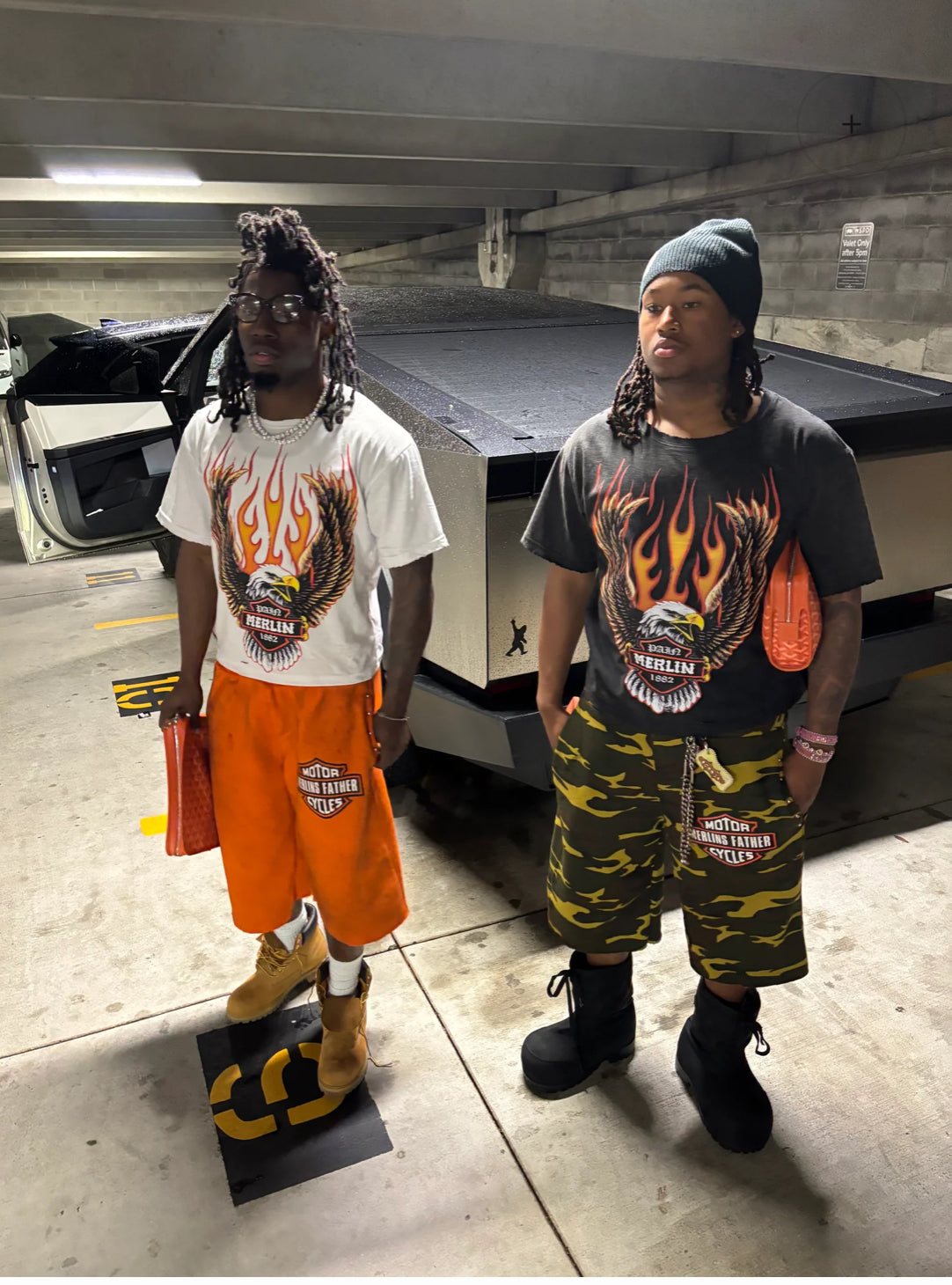 “Merlin” Birds of Merlin White