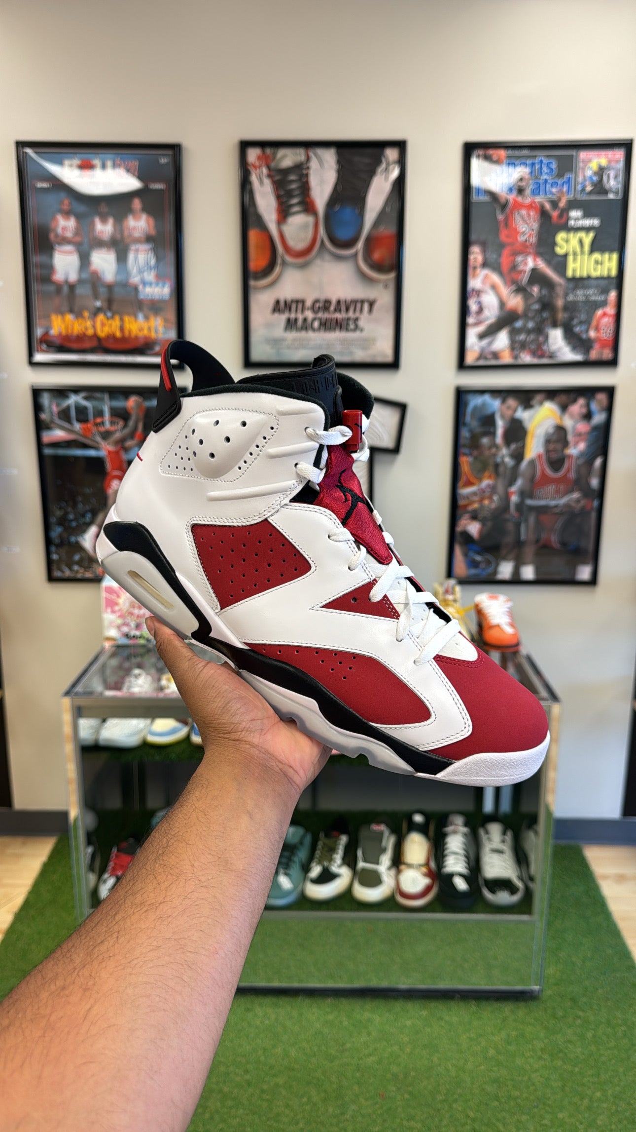 Jordan 6 Retro “Carmine” 2021 (Sz 14)