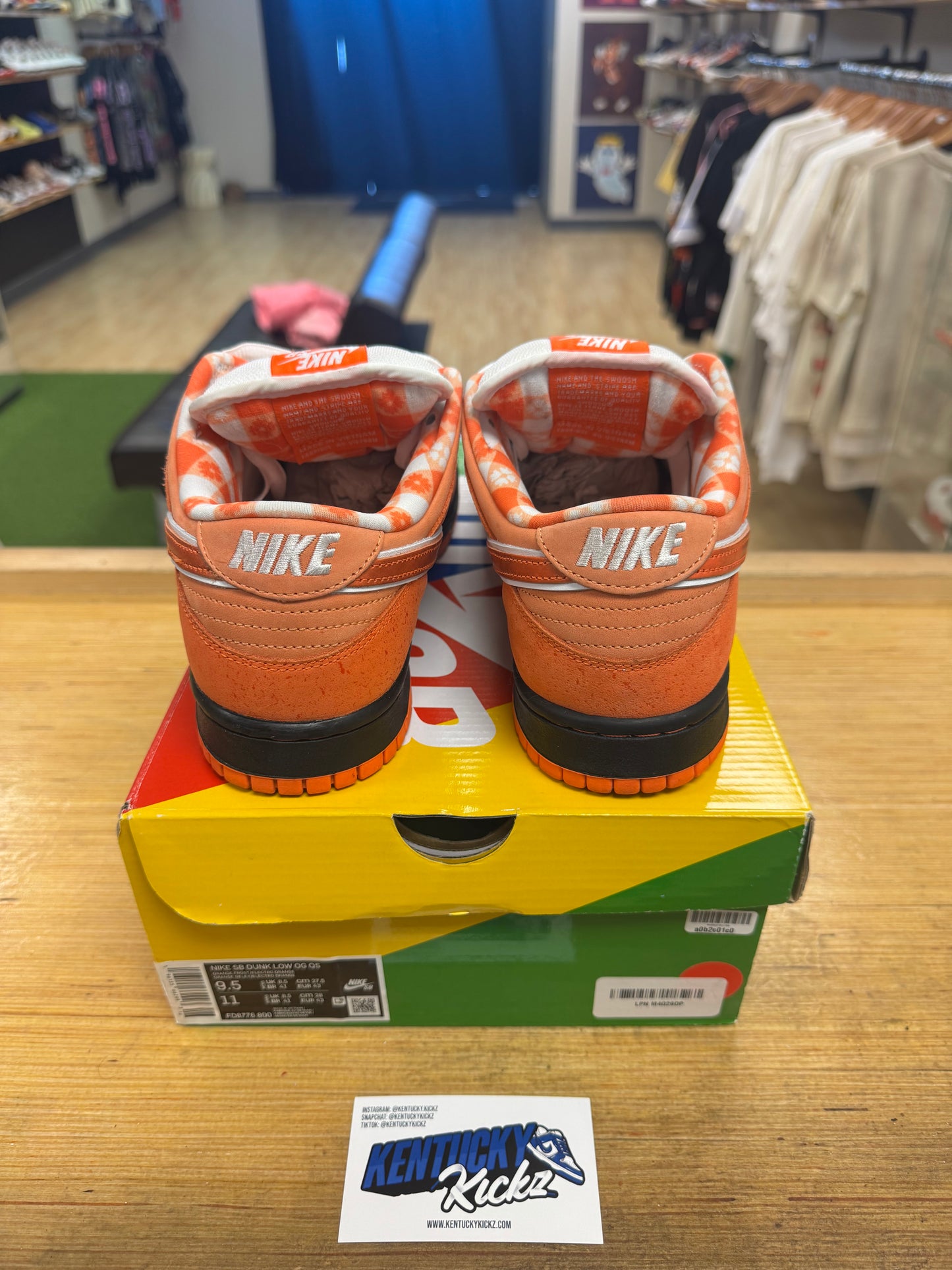 SB Dunk Low “Concept Orange Lobster” (Sz 9.5)