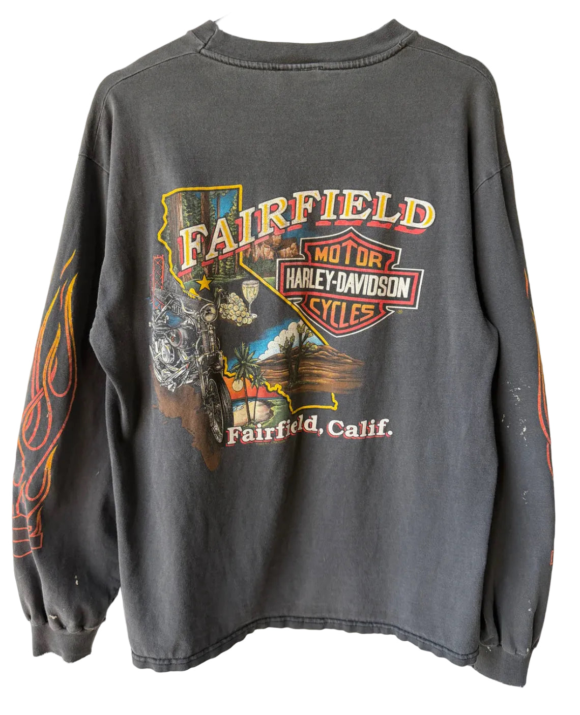 “Vintage” Distressed Harley Davidson L/S “Flamer”