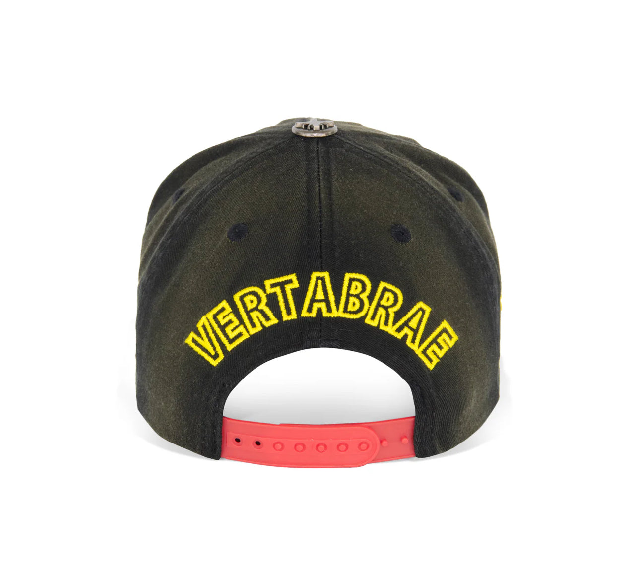 “Vertabrae” BLACK AND GOLD SNAPBACK