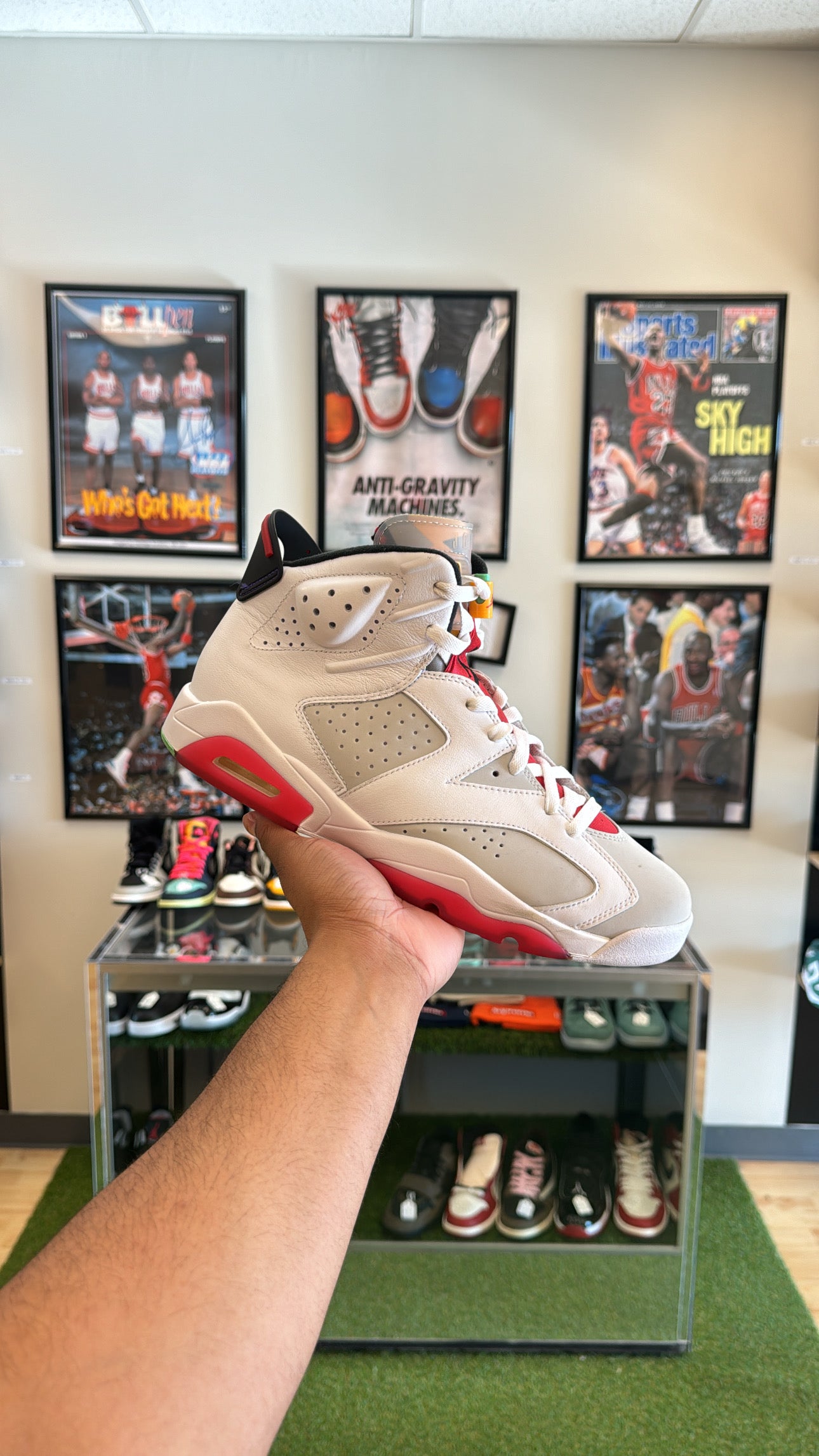 Jordan 6 Retro “Hare” (Sz 11)