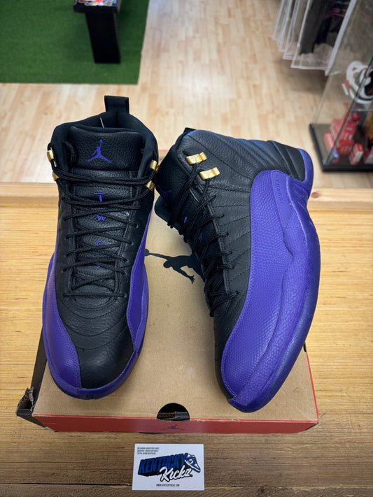 Jordan 13 Retro “Field Purple” (Sz 13) (USED 1x)