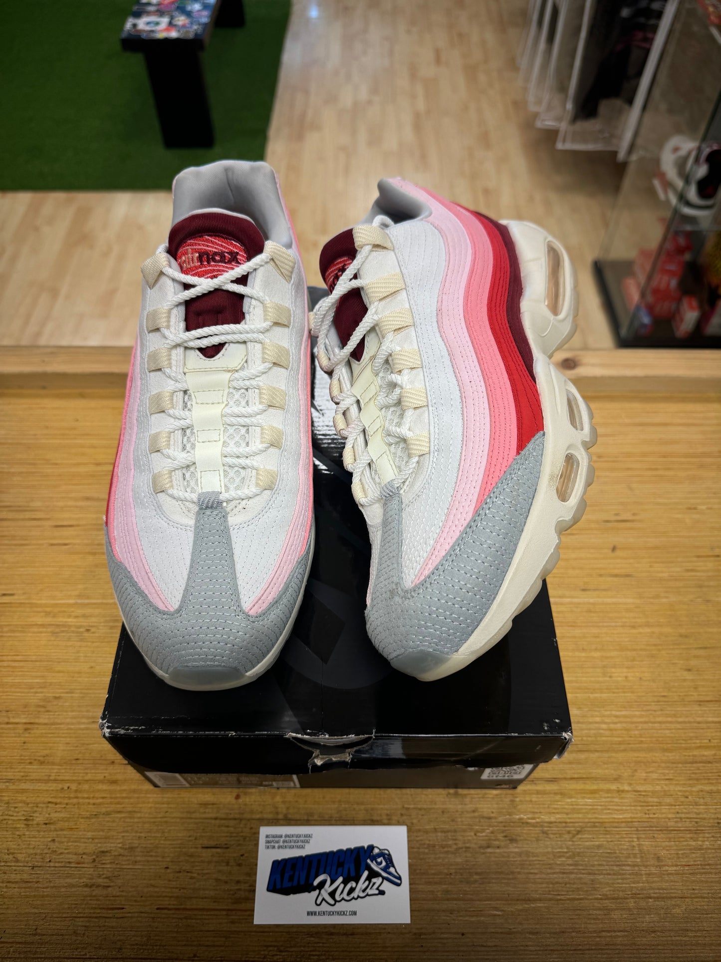 Air Max 95 “Anatomy of Air GID” (Sz 11.5) (USED)