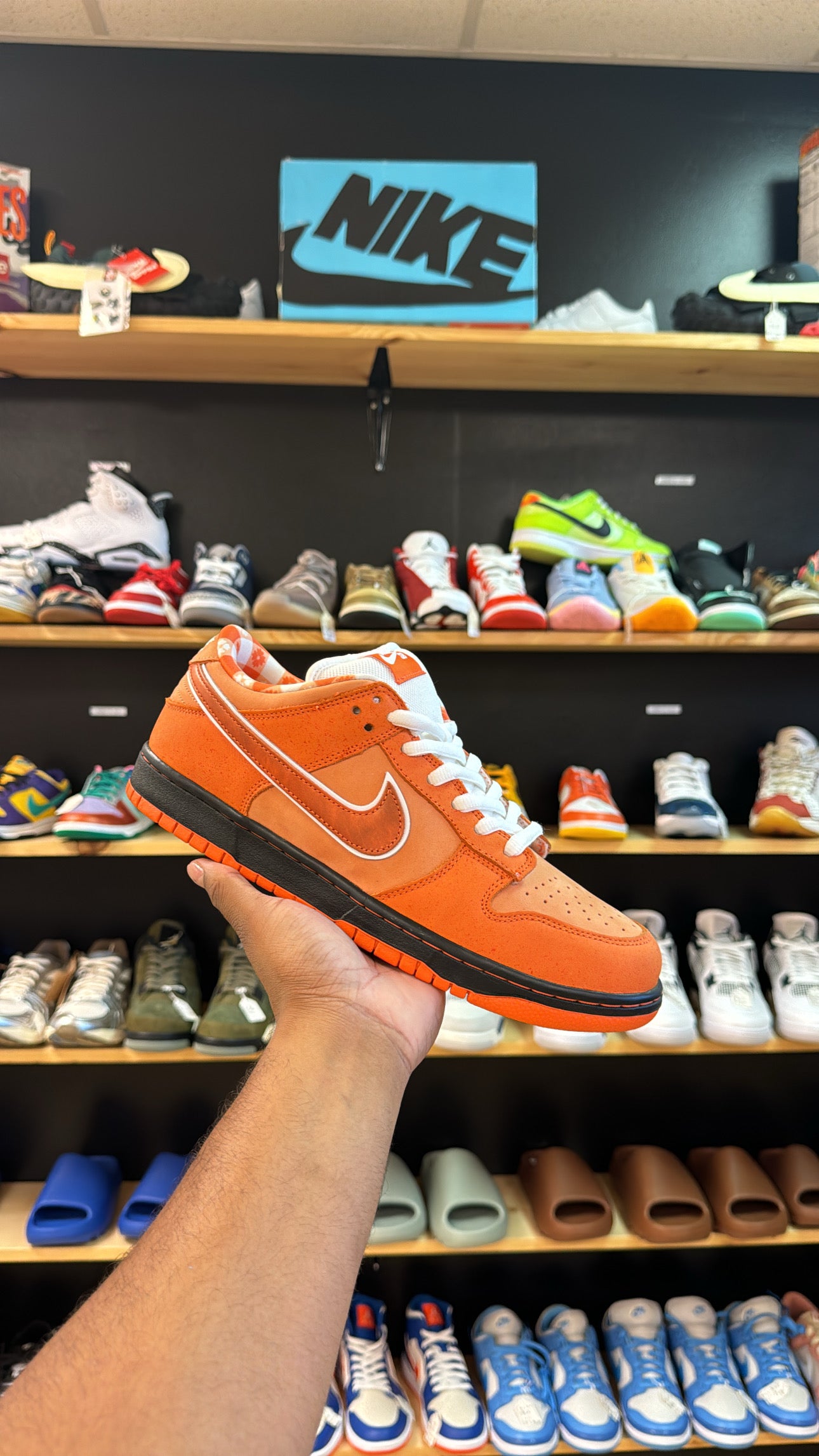 SB Dunk Low “Orange Lobster” (Sz 10) (VNDS)