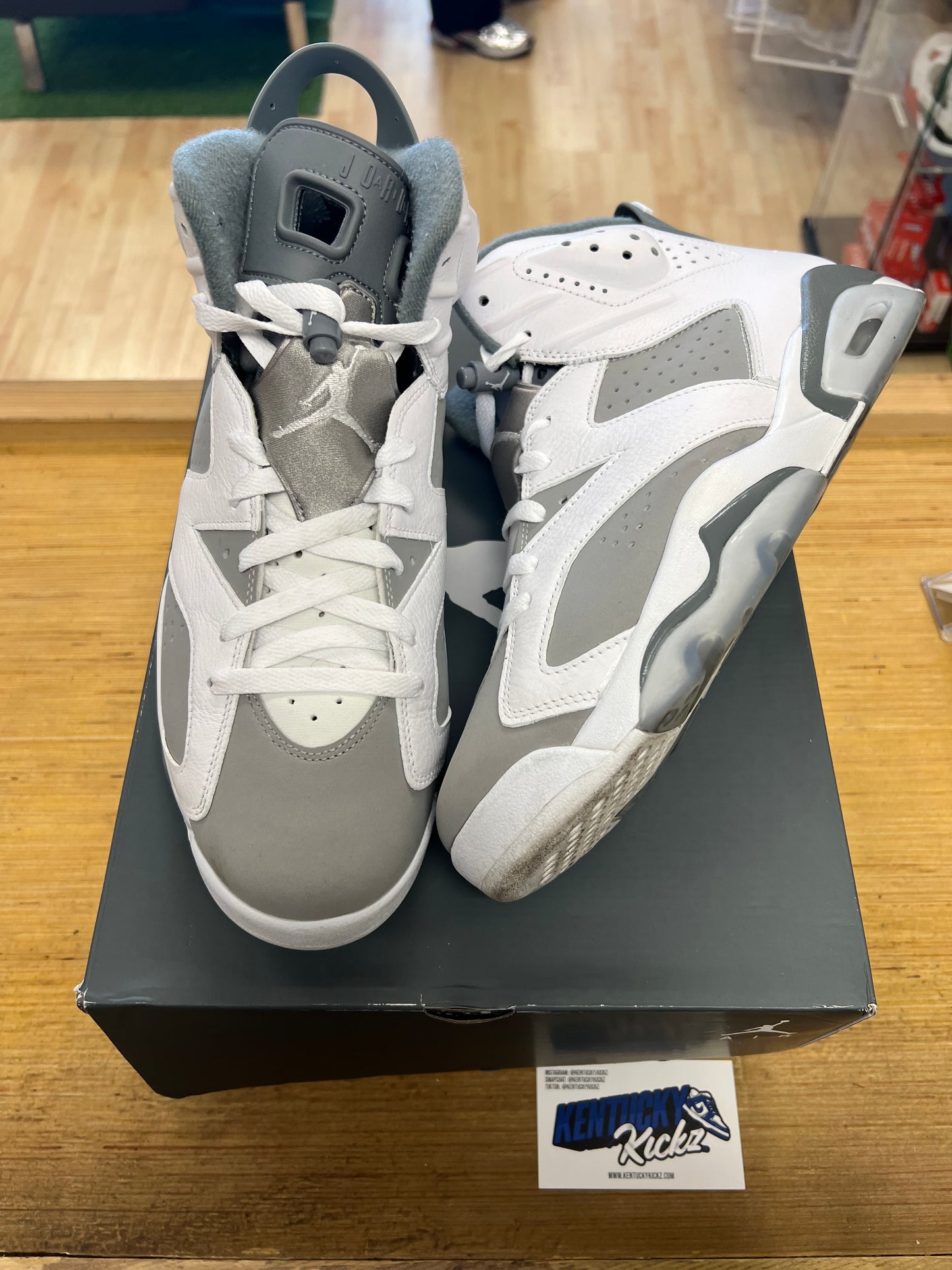 Jordan 6 Retro “Cool Grey” (Sz 11)