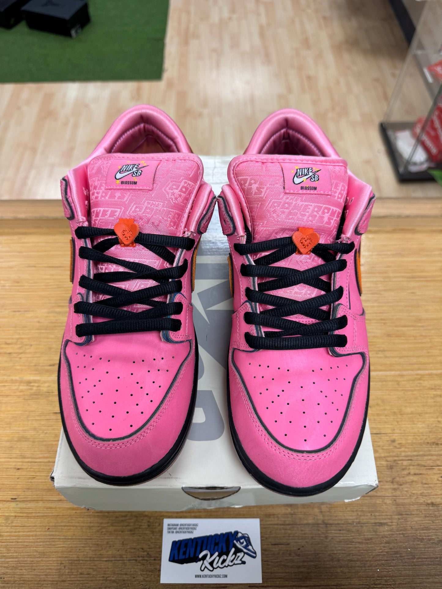 SB Dunk Low “The Powerpuff Girls Blossom” (Sz 10.5)