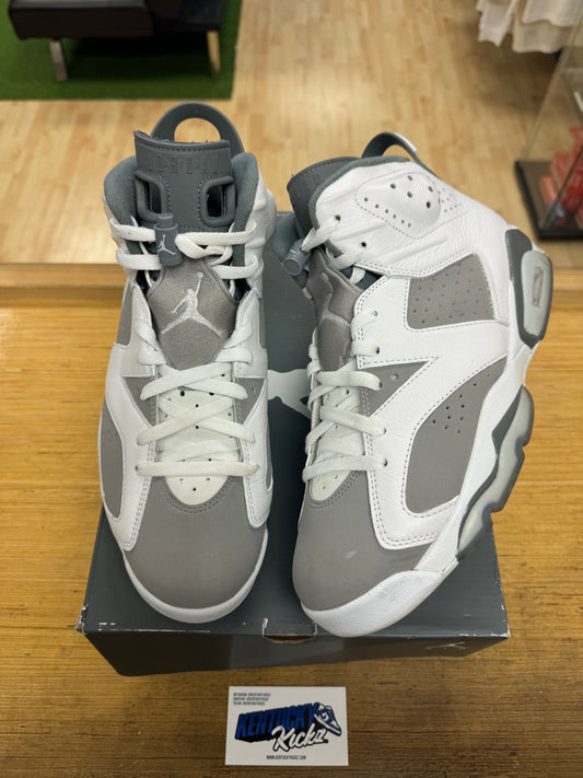 Jordan 6 Retro “Cool Grey” (Sz 10.5)