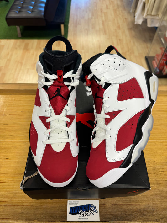 Jordan 6 Retro “Carmine” 2021 (Sz 14)