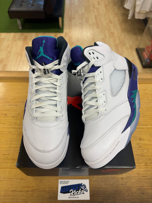 Jordan 5 Retro “Grape” 2025 (Sz 11)