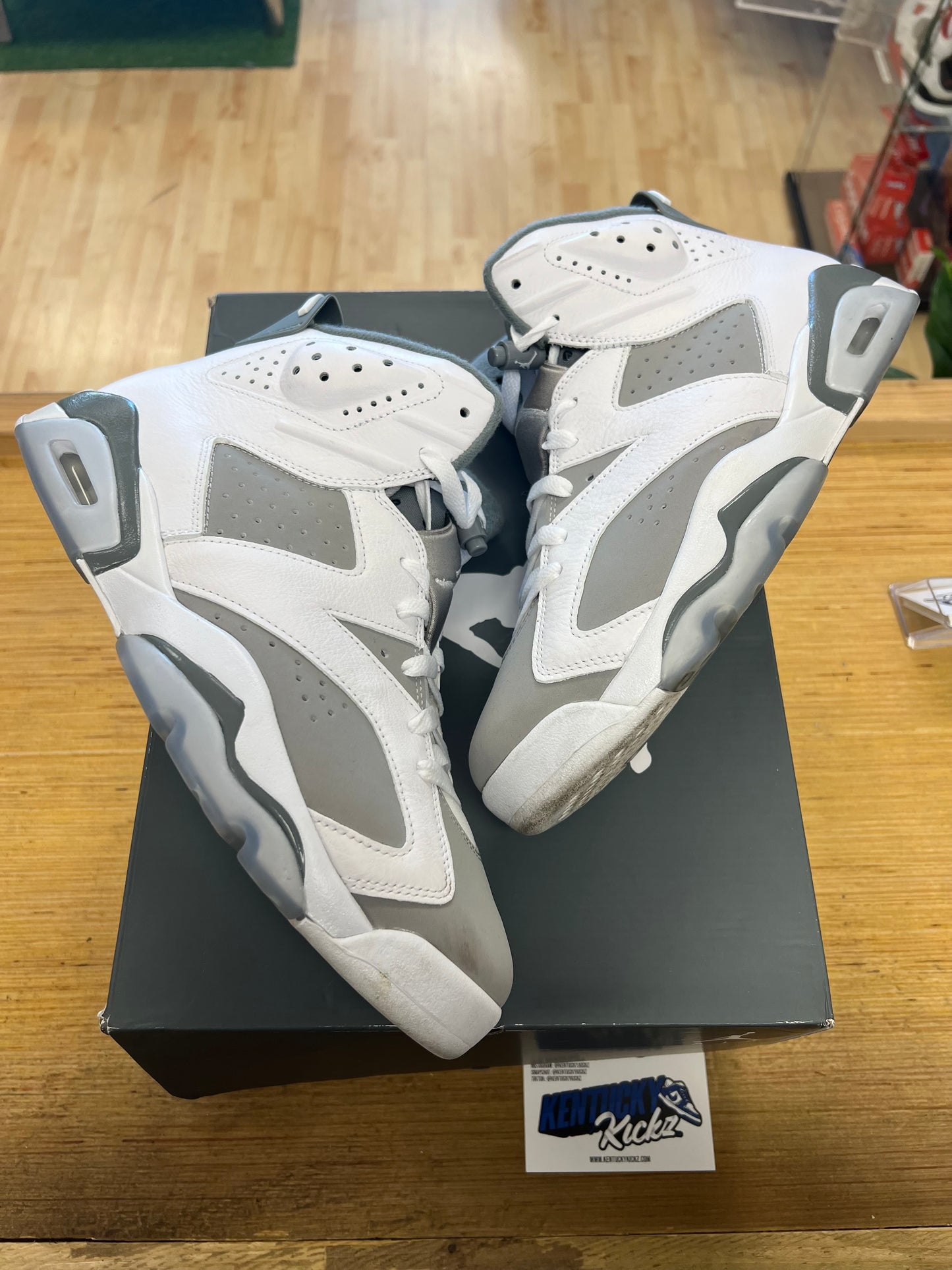 Jordan 6 Retro “Cool Grey” (Sz 11)