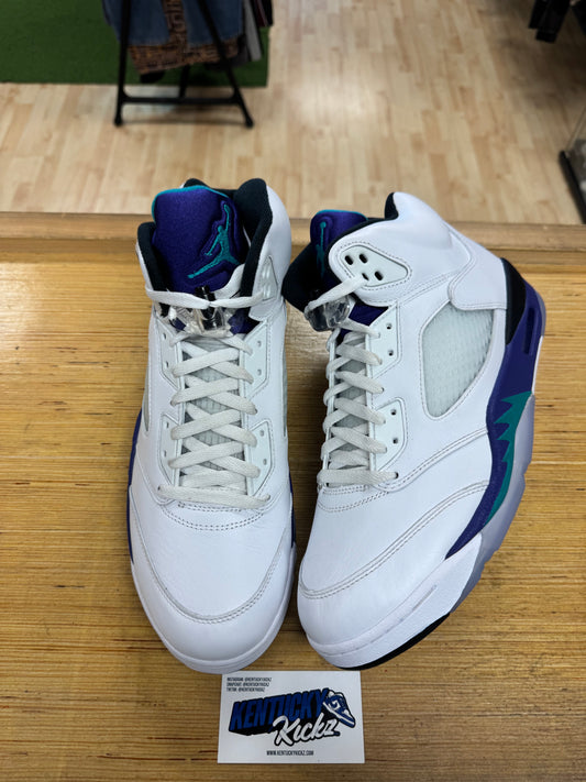 Jordan 5 Grape “Grape” 2013 (Sz 13)