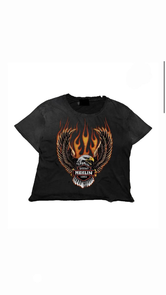 “Merlin” Birds of Merlin Black