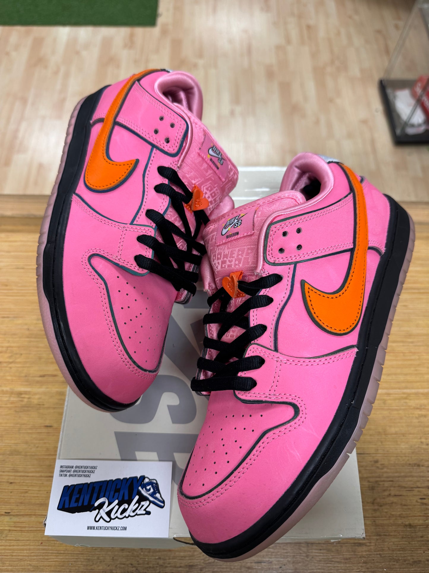 SB Dunk Low “The Powerpuff Girls Blossom” (Sz 10.5)