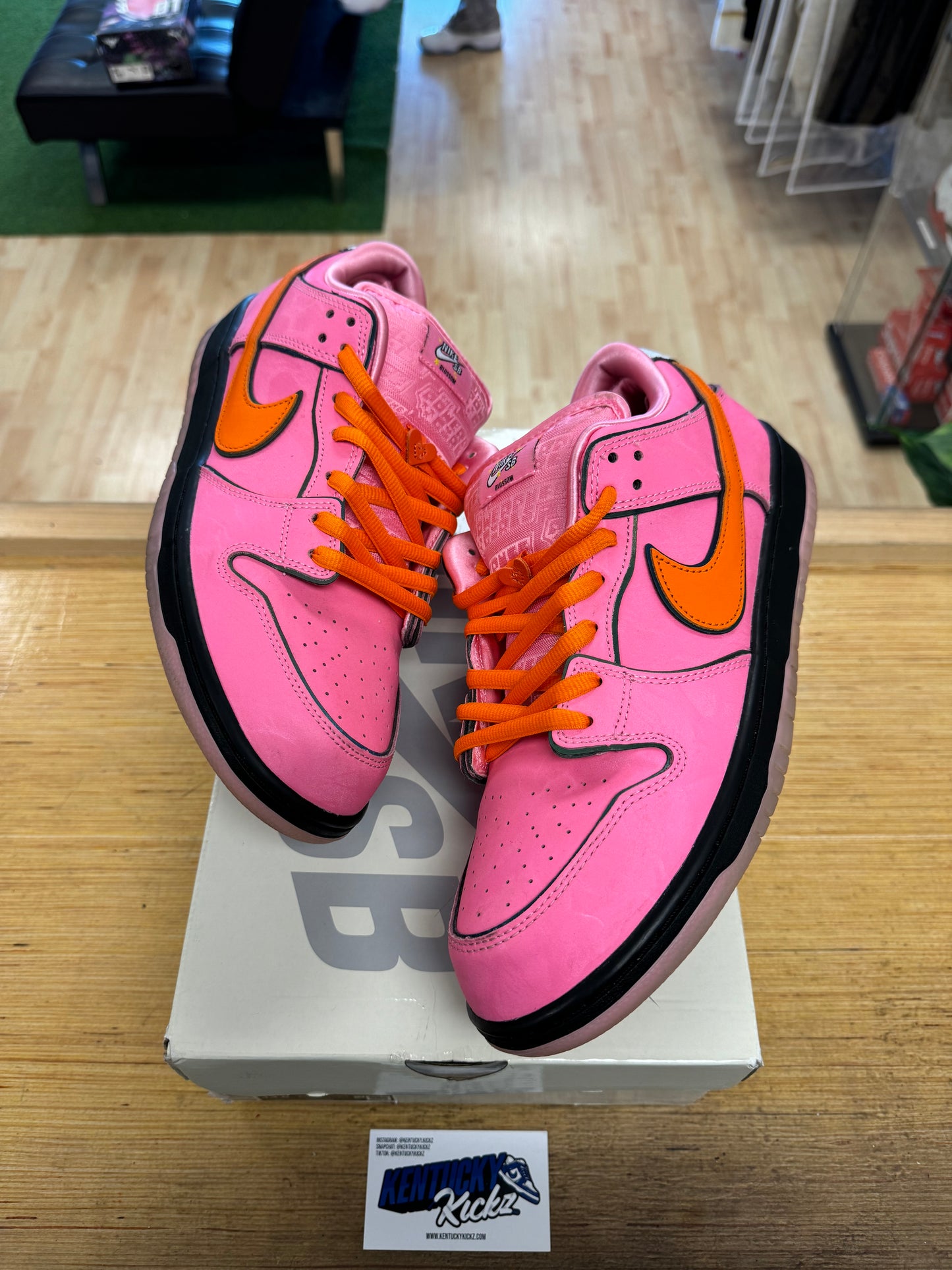 SB Dunk Low “The Powerpuff Girls Bossom” (Sz 13)