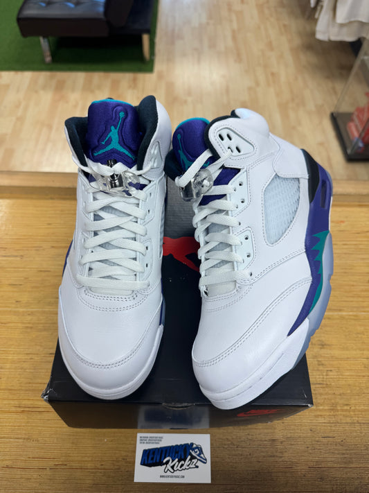 Jordan 5 Retro “Grape” 2025 (Sz 9.5)