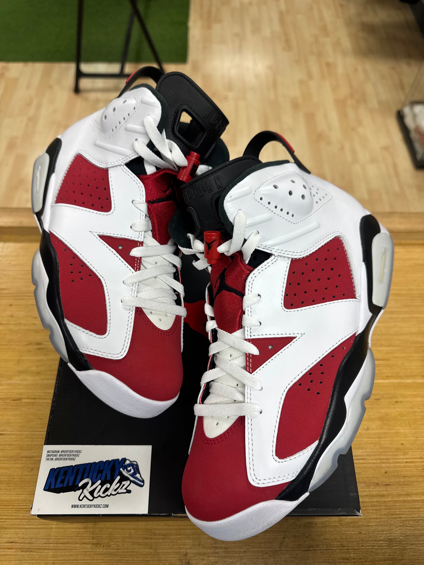 Jordan 6 Retro “Carmine” 2021 (Sz 10)