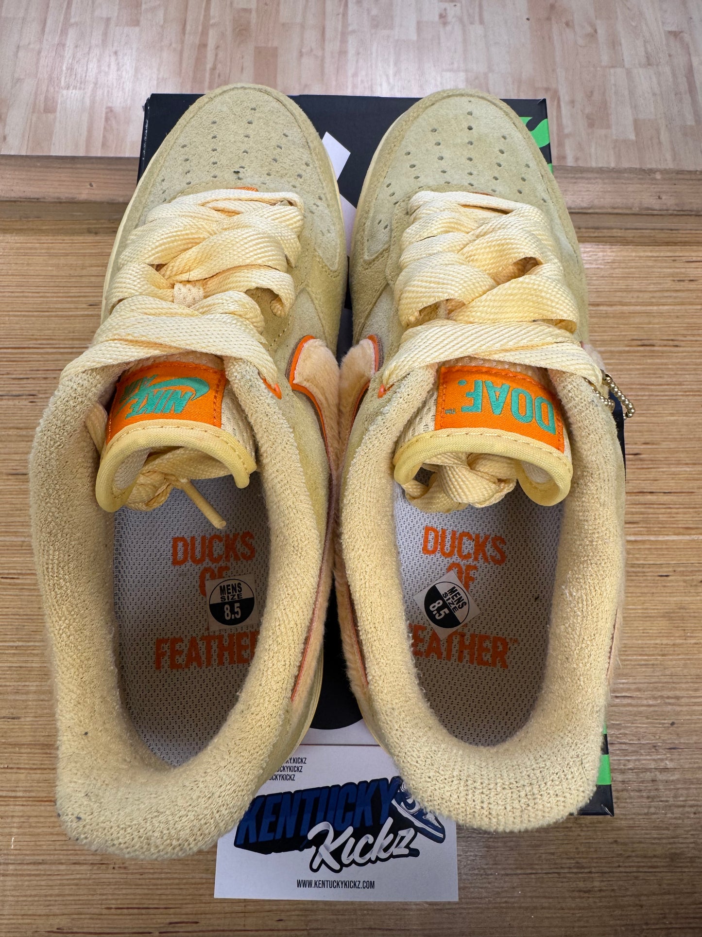 Air Force 1 Low “Ducks of a feather University of Oregon Duck or Egg” (Sz 8.5)