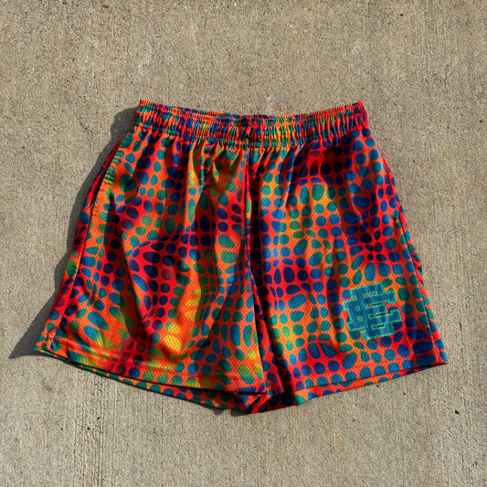 Eric Emanuel Basic/Core Shorts